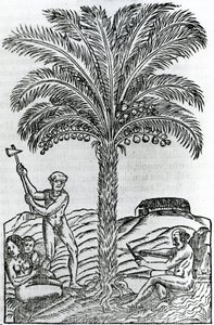 Oogst, illustratie uit Singulariteiten van Frankrijk Antarctique, door Andre de Thevet, 1558 door French School